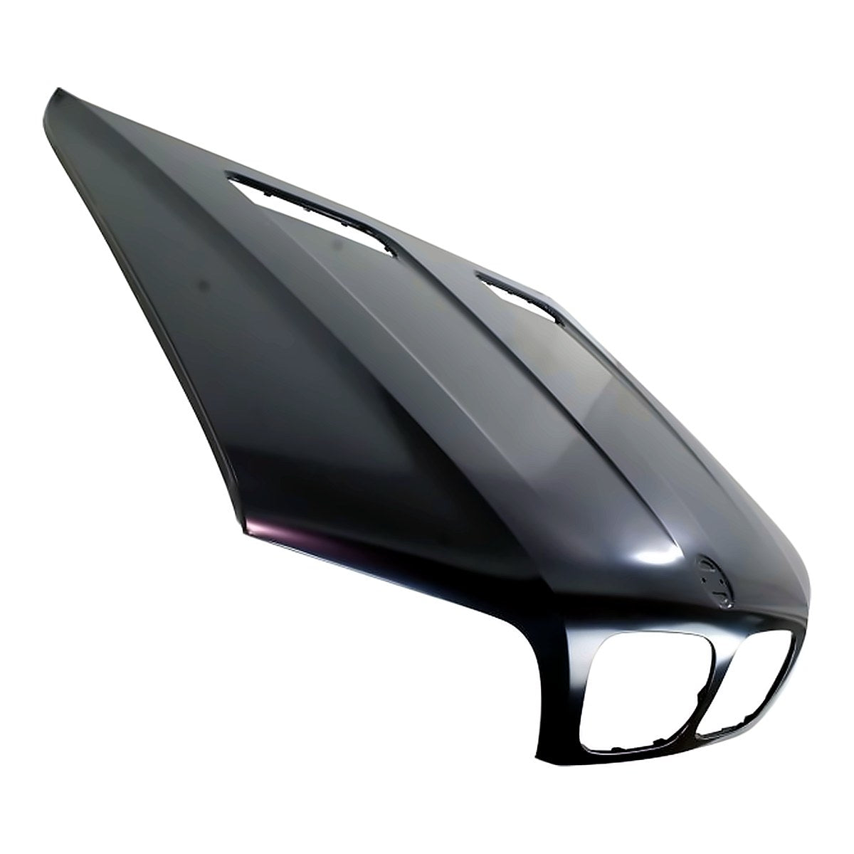 2000-2003 Bmw X5 Hood – Detail View (BM1230114)