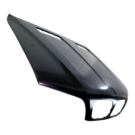 2000-2003 Bmw X5 Hood – Detail View (BM1230114)
