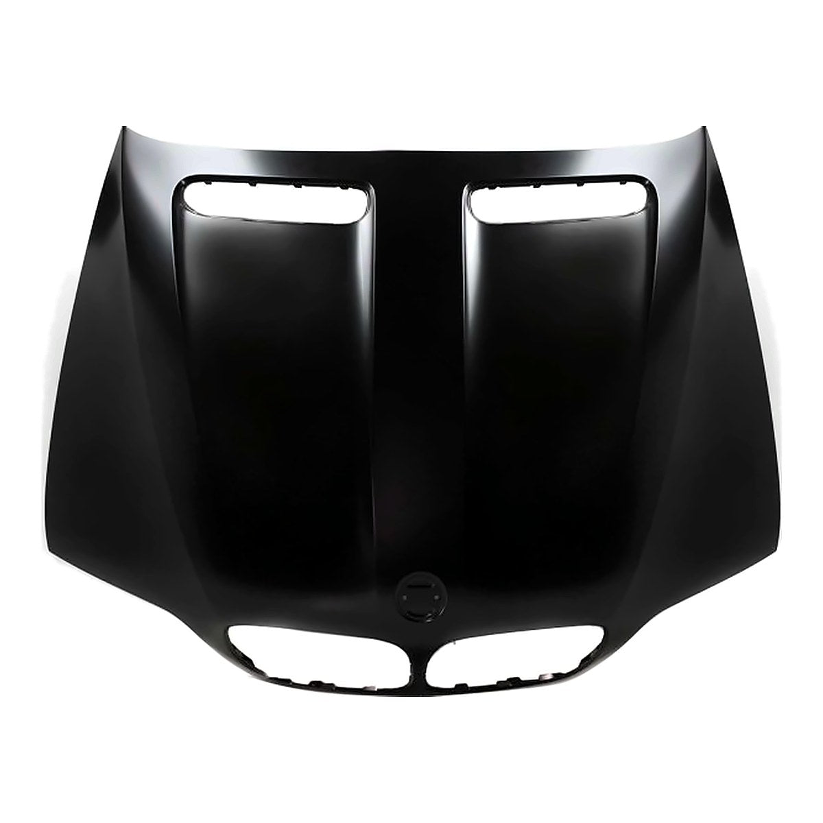 2004-2006 Bmw X5 Hood – Front View (BM1230126)