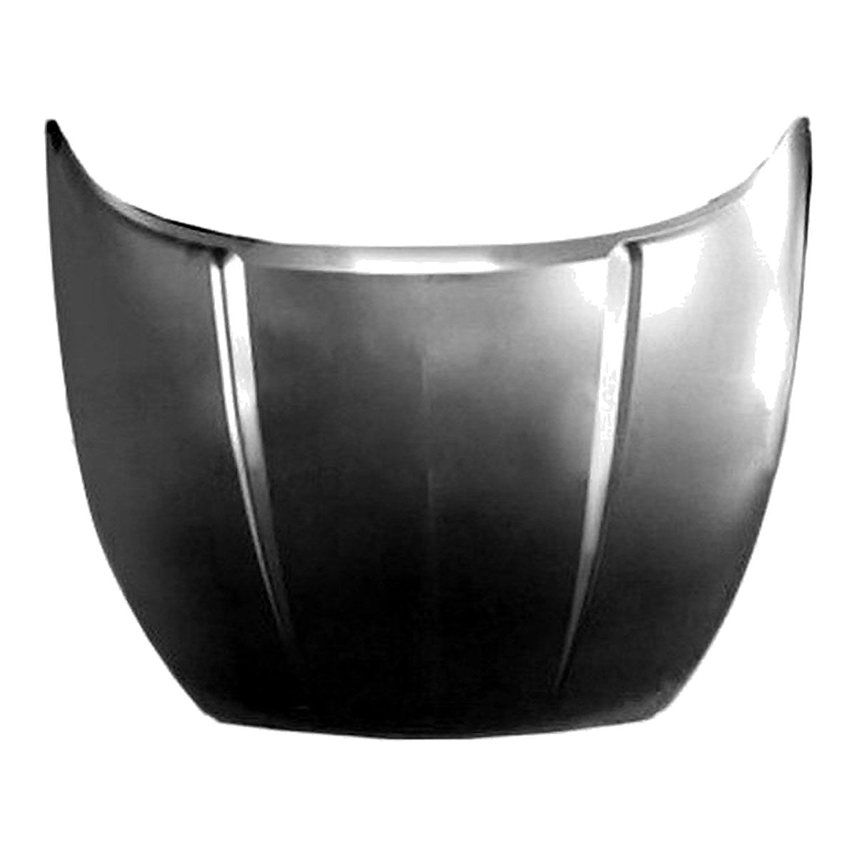 2005-2007 Dodge Dakota Hood – CH1230240