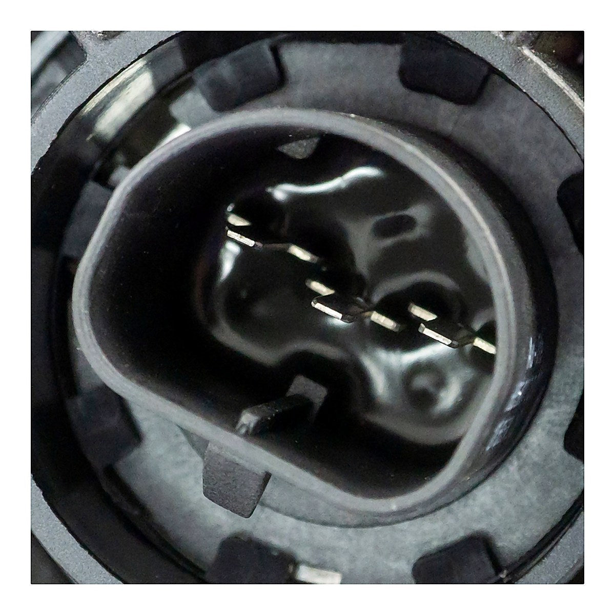 2003 Dodge Neon Headlight Driver Side Black Bezel – CH2502139-3
