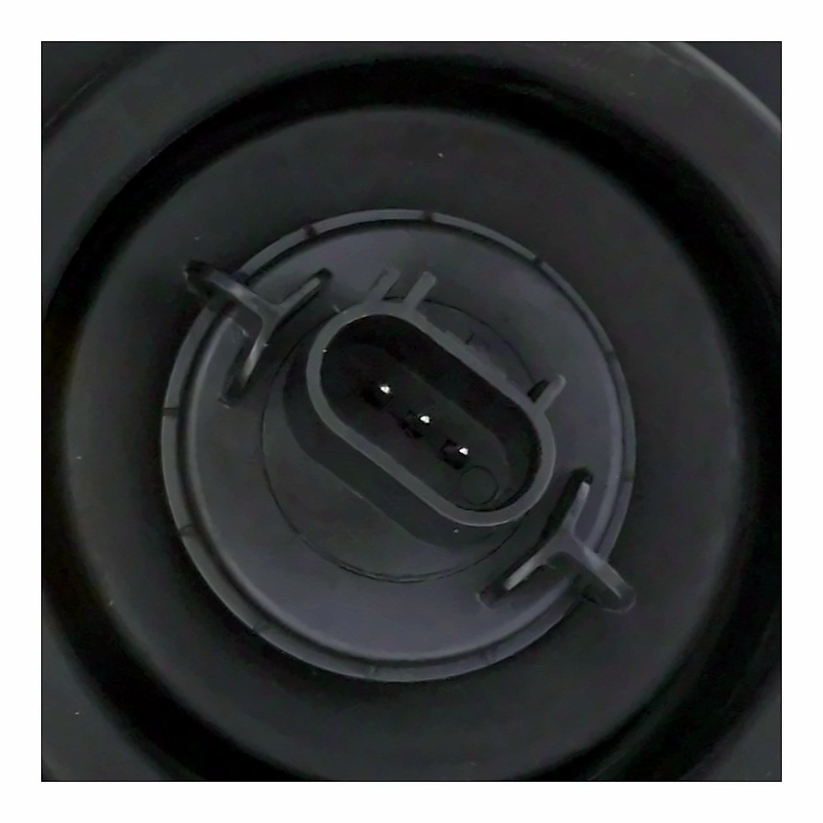 2005 Dodge Dakota Headlight Driver Side (Without Black Bezel) – Back View (CH2502159)