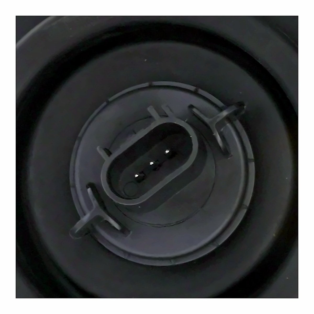2005 Dodge Dakota Headlight Passenger Side (Without Black Bezel) – Back View (CH2503159)