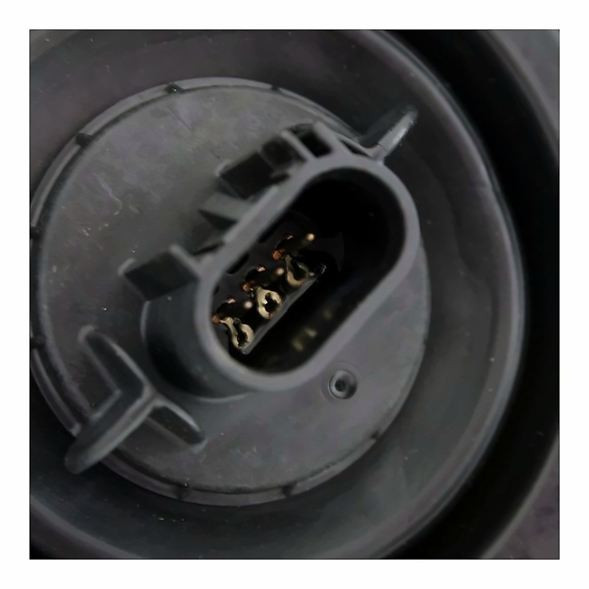 2006-2007 Dodge Dakota Headlight Passenger Side Black Bezel – Back View (CH2519116)