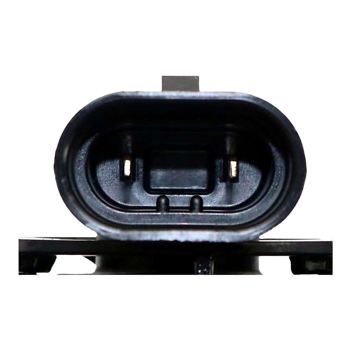 2015-2017 Ford F150 Fog Light Front Passenger Side – Back View (FO2593244)