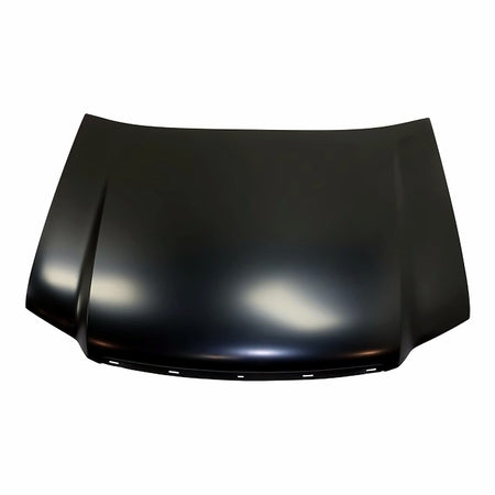 2003-2008 Isuzu Ascender Hood - product view, Part GM1230318
