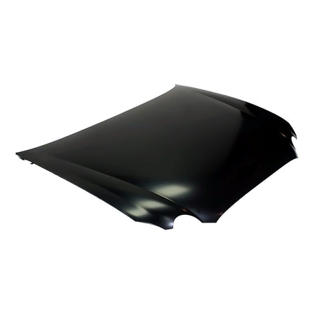 2005-2007 Buick Allure Hood – Detail View (GM1230339)