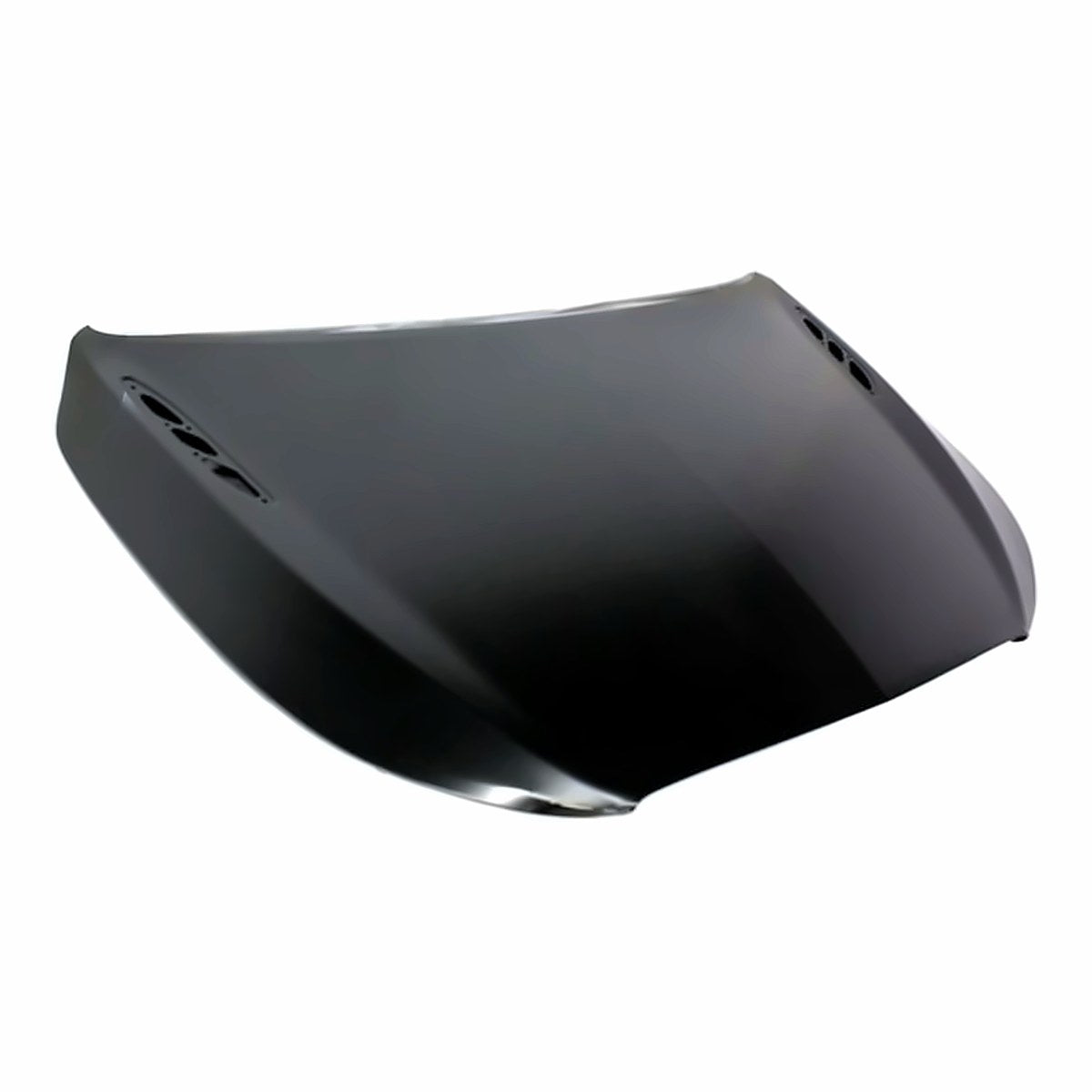 2010 Buick Allure Hood – Detail View (GM1230390)