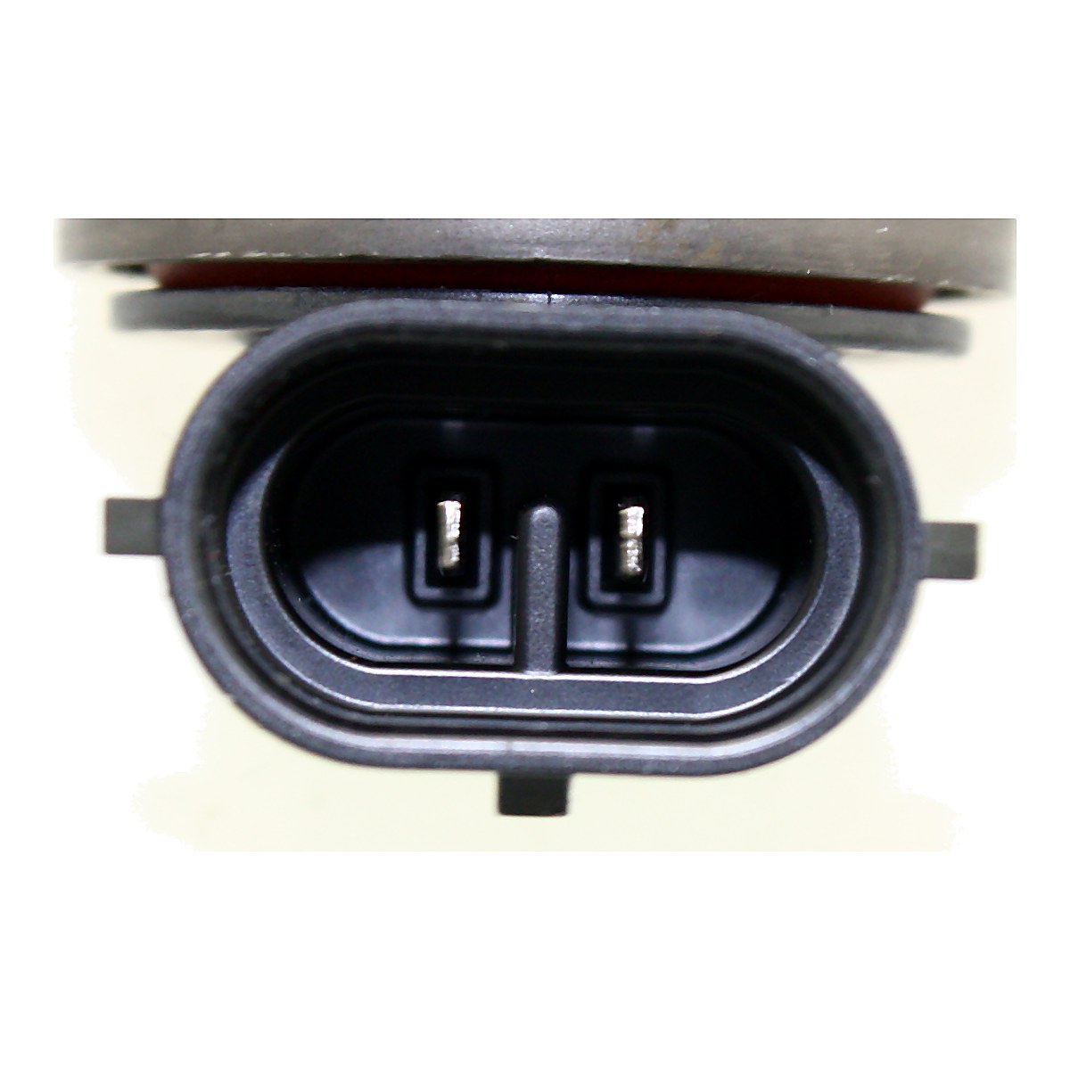 2005-2007 Buick Allure Fog Light Front Driver Side/Passenger Side – Back View (GM2592149)