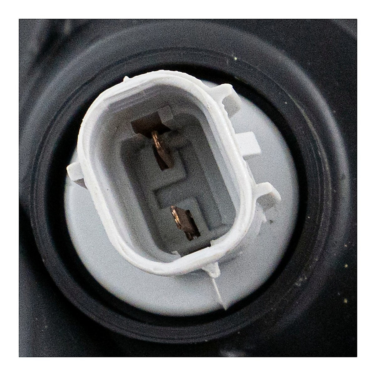 1999-2000 Lexus Rx300 Headlight Passenger Side – LX2503103-4