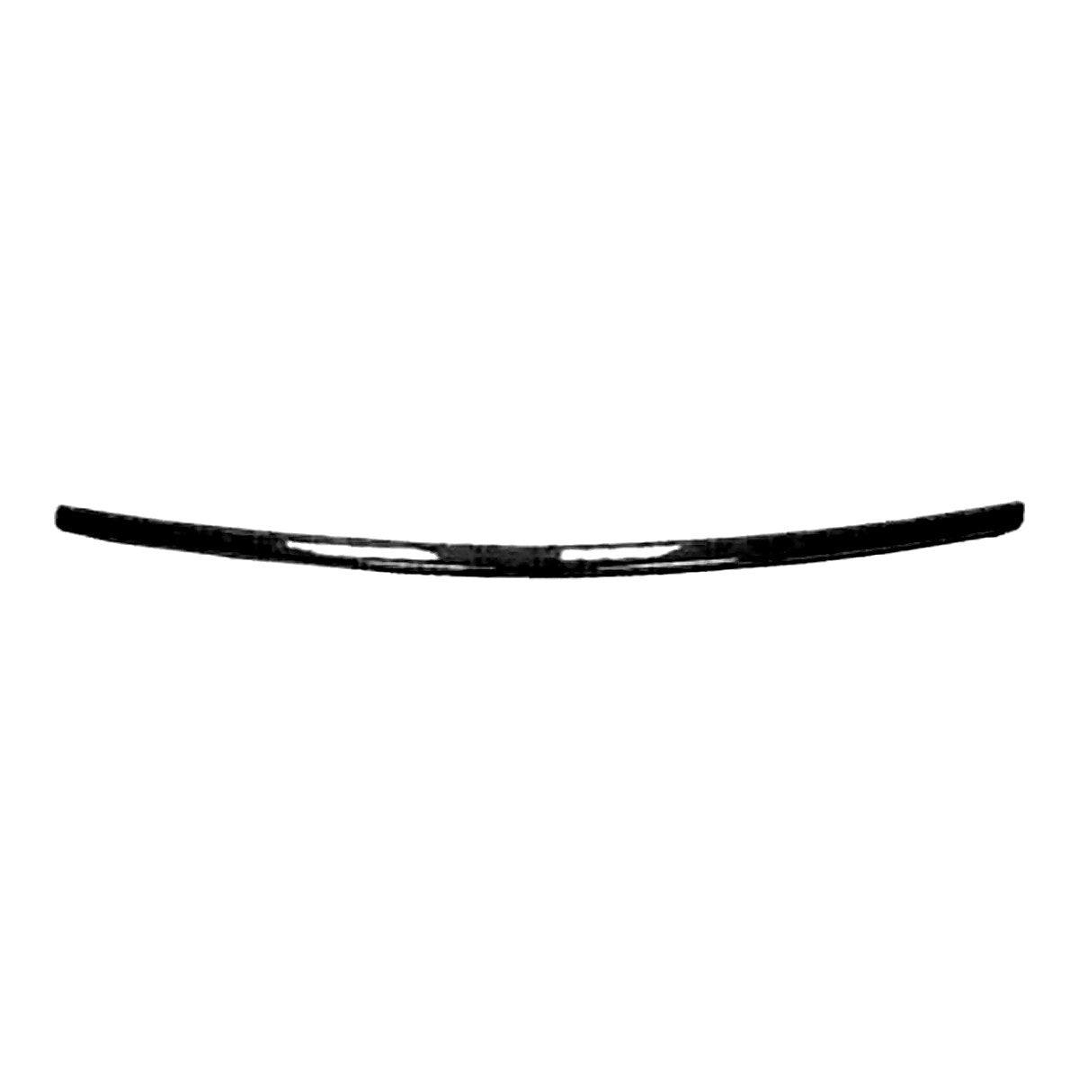 2006-2007 Nissan Murano Bumper Moulding Front_NI1044107