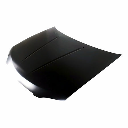 2004-2006 Nissan Sentra Hood – Side View (NI1230165)