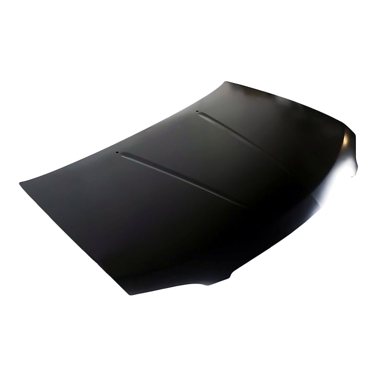 2004-2006 Nissan Sentra Hood – Angle View (NI1230165)
