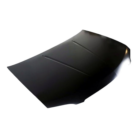 2004-2006 Nissan Sentra Hood – Angle View (NI1230165)