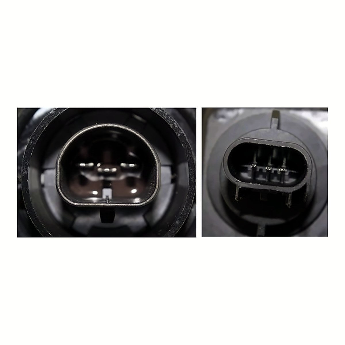 2002-2003 Nissan Sentra Headlight Passenger Side Se-R – Back View (NI2503141)