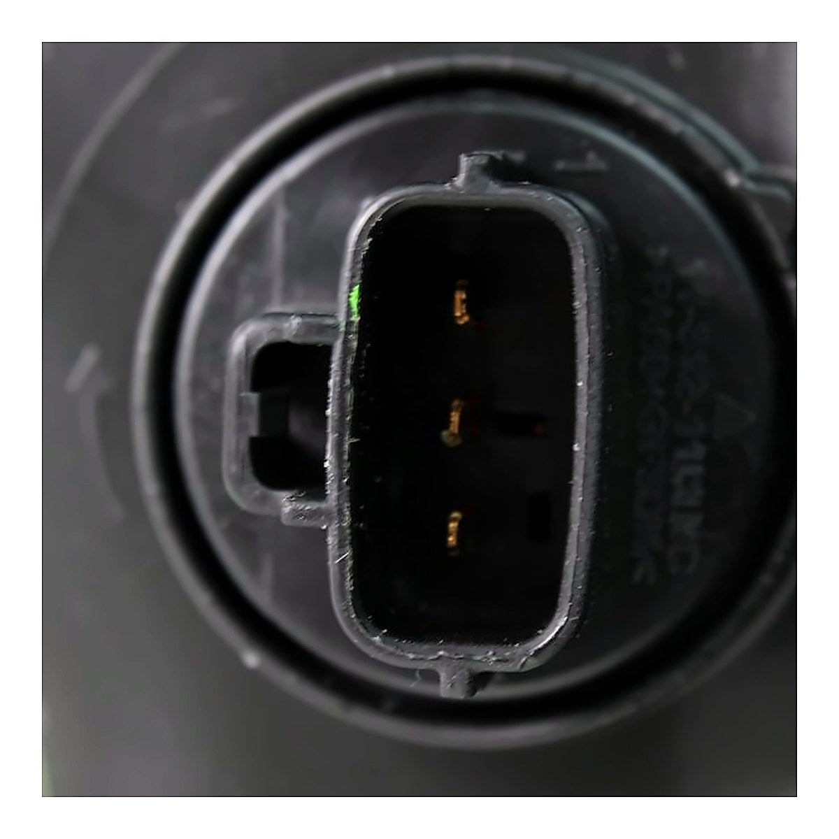 2018-2019 Toyota Tacoma Headlight Passenger Side - back view, Part TO2503243