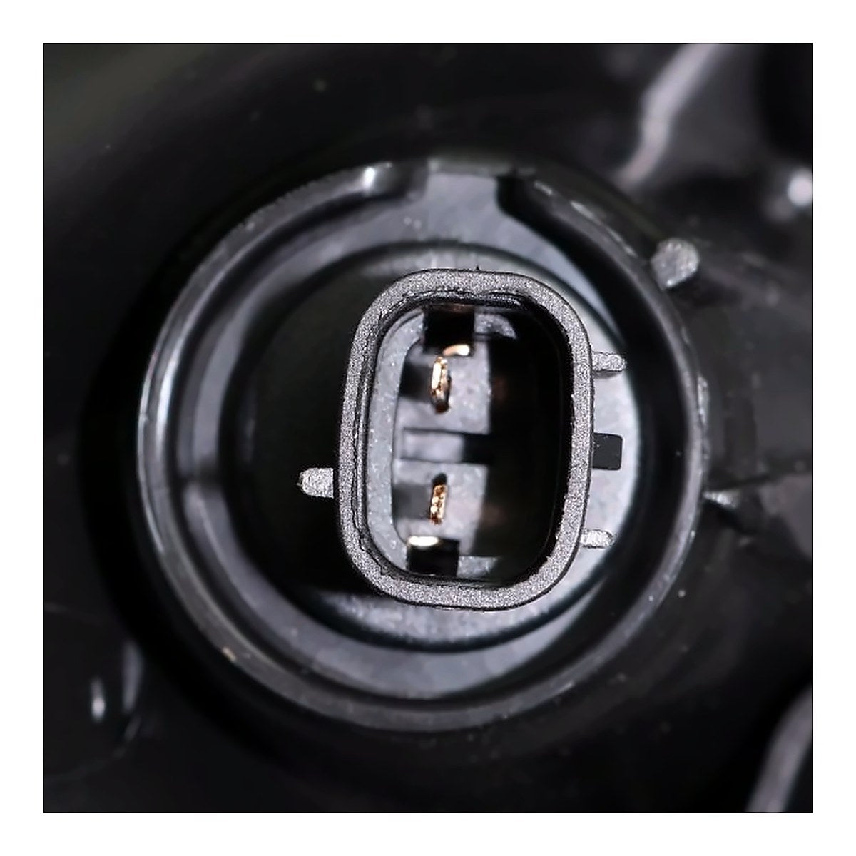 2016-2018 Toyota Avalon Headlight Passenger Side Halogen – Back View (TO2503245)
