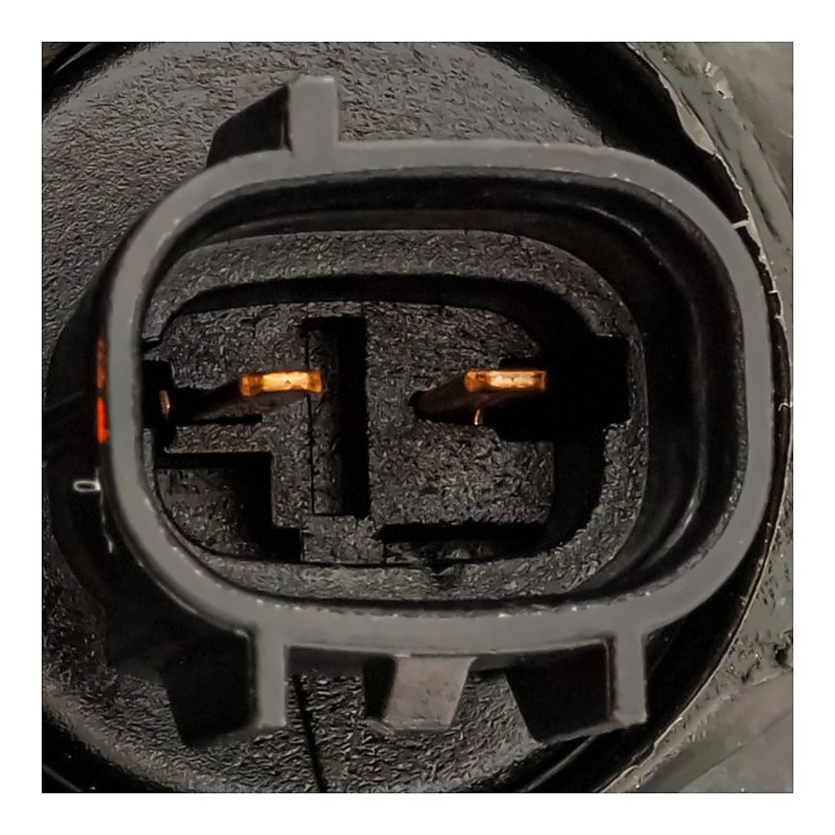 2020-2022 Toyota Chr Headlight Passenger Side Led Without Adaptive Lamps Without Signal Bulps Turkey Built – Back View (TO2503298)