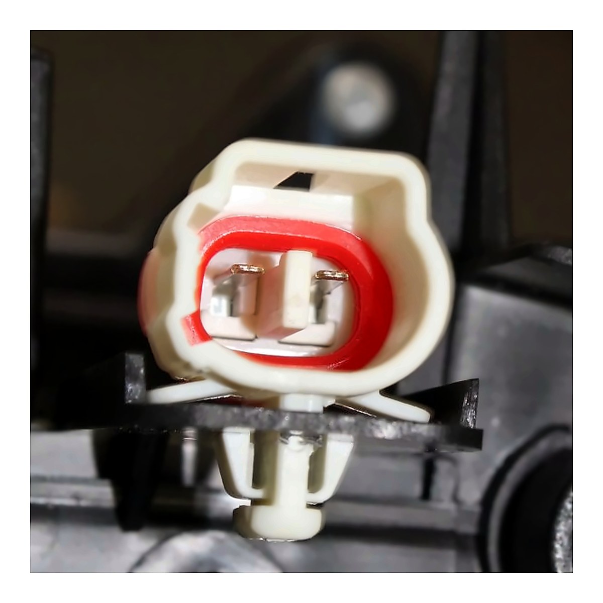 2016-2018 Toyota Rav4 Headlight Driver Side Halogen Japan Built – Back View (TO2518189)