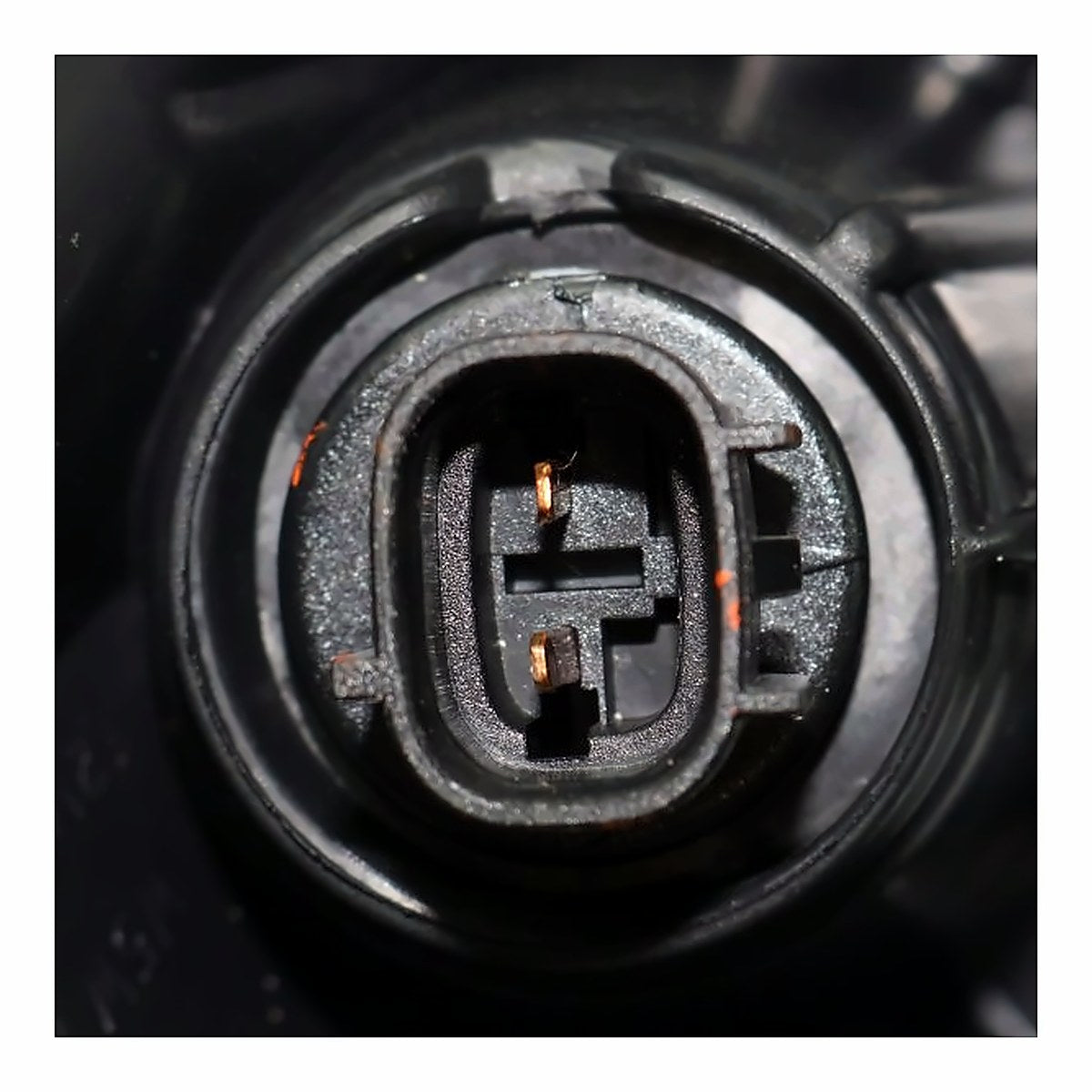 2016-2018 Toyota Avalon Headlight Passenger Side Hid – Installed View (TO2519188)