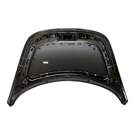1998-2010 Volkswagen Beetle Hood – Back View (VW1230125)